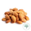 AMENDOA CRUA CHILENA