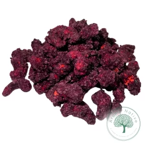 CASTANHA DE CAJU CARAMELIZADA AÇAI