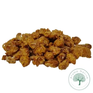 CASTANHA DE CAJU CARAMELIZADA AÇUCAR MASCAVO COM CHOCOLATE