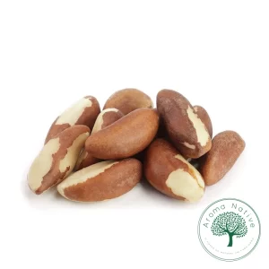 CASTANHA DO PARA FERIDA