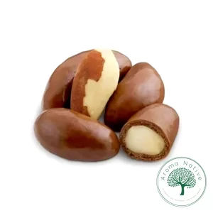 DRAGEADA DE CASTANHA DO PARA - CHOCOLATE BELGA MEIO AMARGO