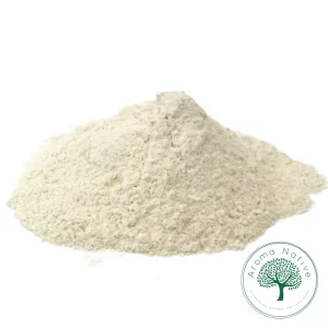 TEMPERO CREME DE CEBOLA